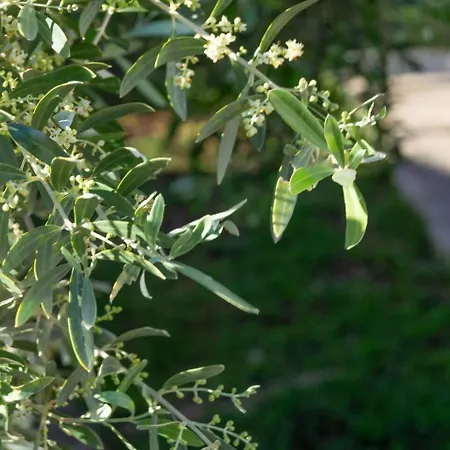 Casa Delicias Pisc Privada Playa Bbq 6pax *